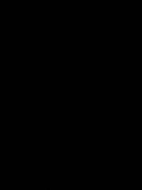 image1bca838317d8.jpg?f=webp&w=200