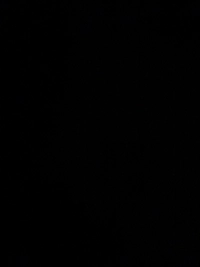 image3b51a5234788.jpg?f=webp&w=200
