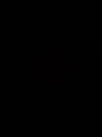 image43ac71283165.jpg?f=webp&w=200