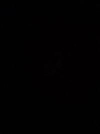 imagec106e13fc964.jpg?f=webp&w=200