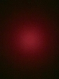 imagec9833c7a2893.jpg?f=webp&w=200