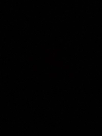 imaged1c55e6237fc.jpg?f=webp&w=200