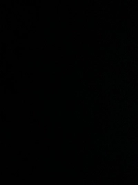 imageea98cfe22ee1.jpg?f=webp&w=200