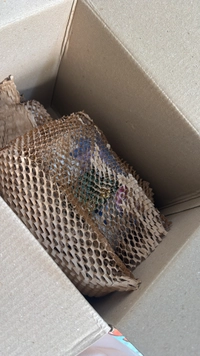 18CEB342-07EA-489B-B864-FF88706996AAefd1