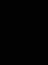 IMG_12961fa656d33484.jpeg?f=webp&w=200