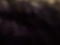 IMG_1557a239c0dd8683.jpeg?f=webp&w=200