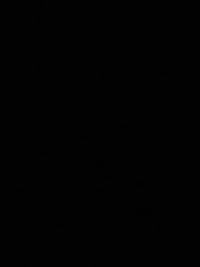 IMG_2823a22eb726ed7f.jpeg?f=webp&w=200