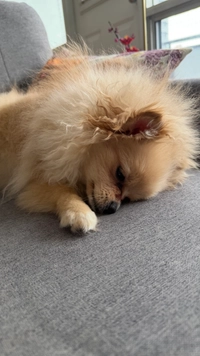 IMG_9390bb06687c6b59.jpeg?f=webp&w=200