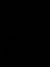 image00e3626b6ccf.jpg?f=webp&w=200