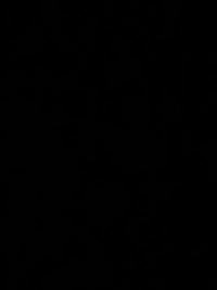 imaged498211526c9.jpg?f=webp&w=200