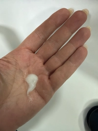 1774326808_imageee8a4d17c7f7.jpg?f=webp&