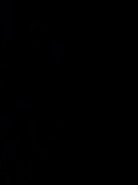 IMG_0225026ba3db04c5.jpeg?f=webp&w=200