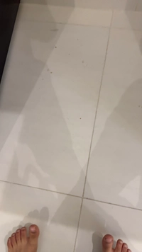 IMG_2369dab1d3740fad.jpeg?f=webp&w=200