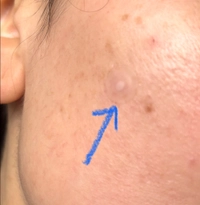 IMG_4798177333326831838fd8a5229d4.jpeg?f