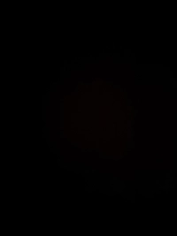 image0056139fdc0c.jpg?f=webp&w=200