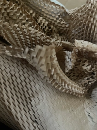 image2b660d11b605.jpg?f=webp&w=200