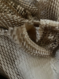 imageec299c6660c8.jpg?f=webp&w=200