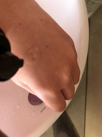 photo_202603261517745345647563ccfc37a786