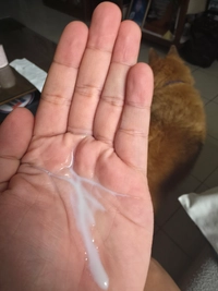 10000087951e6fc7230b52.jpg?f=webp&w=200