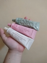 IMG_20260401_084839f054bf6f08d5.jpg?f=we