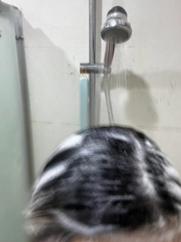 IMG_336946a816043502.jpeg?f=webp&w=200