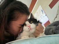 IMG_498532c292388aed.jpeg?f=webp&w=200