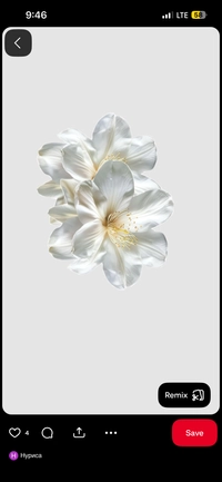 IMG_7775cda2749b20cf.png?f=webp&w=200