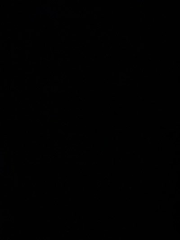 image285d888f28ff.jpg?f=webp&w=200