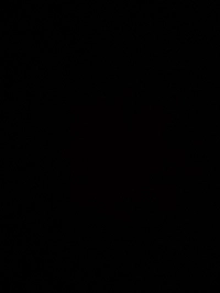 image3511e7daf00c.jpg?f=webp&w=200