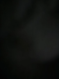 image9da587a4c266.jpg?f=webp&w=200