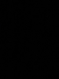 imageb26ef1df06a9.jpg?f=webp&w=200