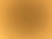 imagef74ac50d242e.jpg?f=webp&w=200