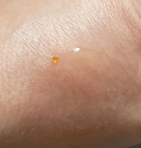 1780130733_2.jpeg?f=webp&w=200