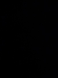 IMG_0160b6df569d5d0f.jpeg?f=webp&w=200