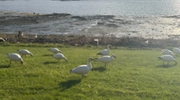 IMG_9446bfa7b3d90ffb.jpeg?f=webp&w=200