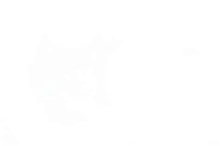 blankwhite17799593067339572eaceb1b5.jpg?