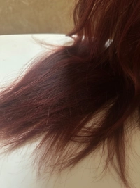 1780390543_3.jpeg?f=webp&w=200