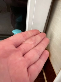 1780436202_2.jpeg?f=webp&w=200