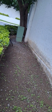 1780626179_1.jpg?f=webp&w=200