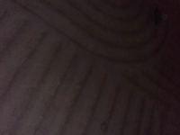 1781015272_1.jpg?f=webp&w=200