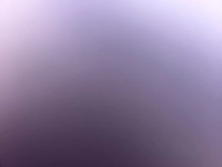 1781153513_1.jpg?f=webp&w=200