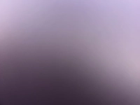 1781153550_1.jpg?f=webp&w=200