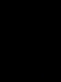 1781157296_1.jpg?f=webp&w=200