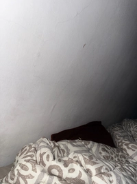 1781217216_1.jpg?f=webp&w=200