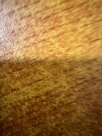 1781535198_1.jpeg?f=webp&w=200