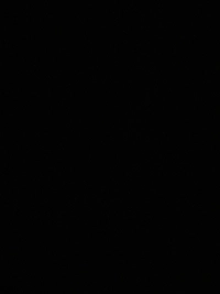 1782063689_1.jpg?f=webp&w=200