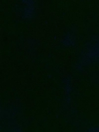 1782064712_1.jpg?f=webp&w=200
