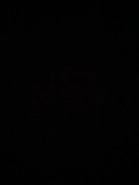 1782168115_1.jpg?f=webp&w=200