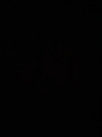 1782168274_1.jpg?f=webp&w=200
