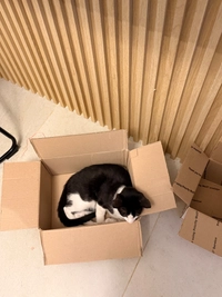 1782417653_1.jpeg?f=webp&w=200